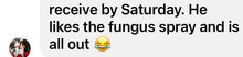 Load image into Gallery viewer, Anti- Fungus Oil