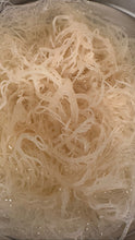 Load image into Gallery viewer, Sea Moss Gel