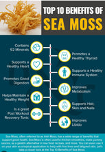Load image into Gallery viewer, Sea Moss Gel