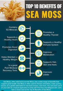 Sea Moss Gel